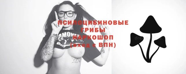 МДПВ Балахна